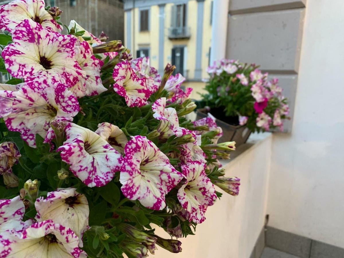 La Terrazza Sul Porto Daire Napoli Dış mekan fotoğraf
